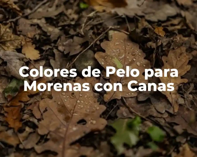 Colores de Pelo para Morenas con Canas