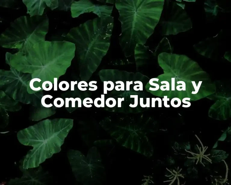 Colores para Sala y Comedor Juntos