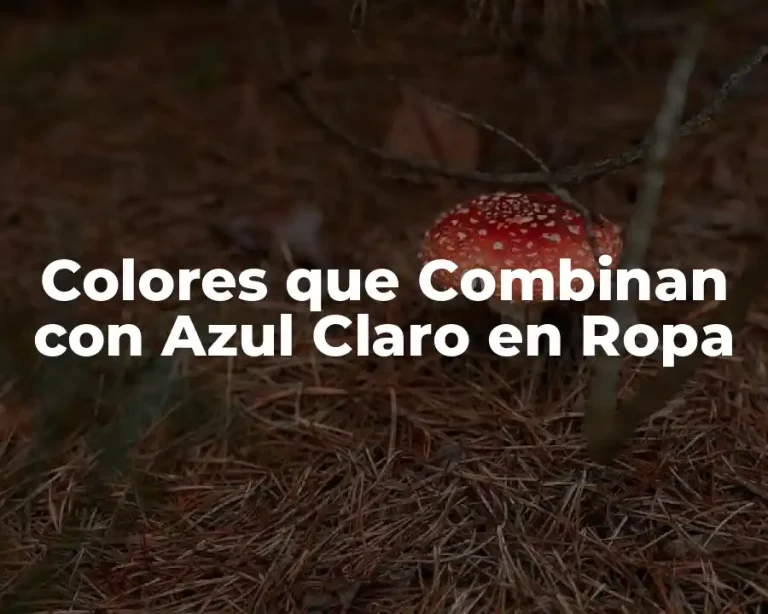 Colores que Combinan con Azul Claro en Ropa