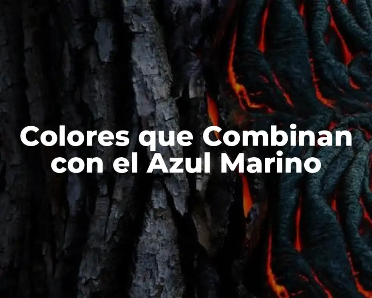 Colores que Combinan con el Azul Marino