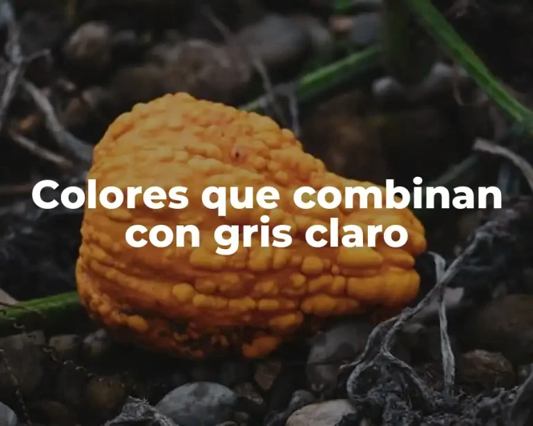 Colores que combinan con gris claro