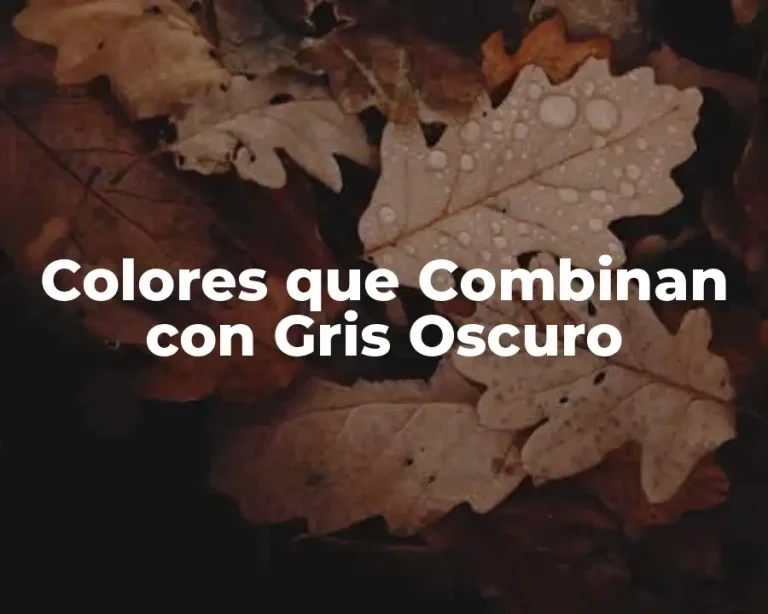 Colores que Combinan con Gris Oscuro