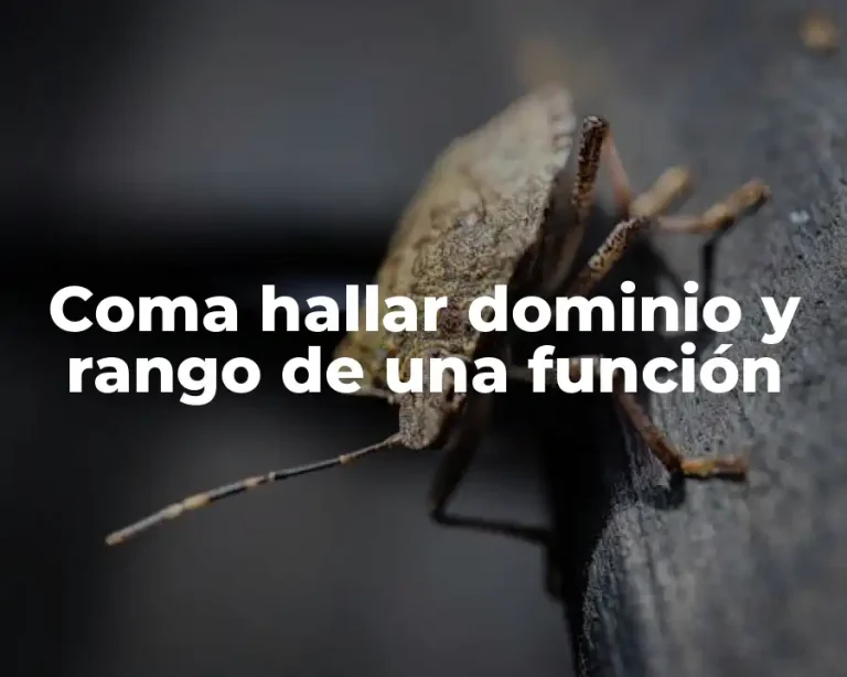 Coma hallar dominio y rango de una función