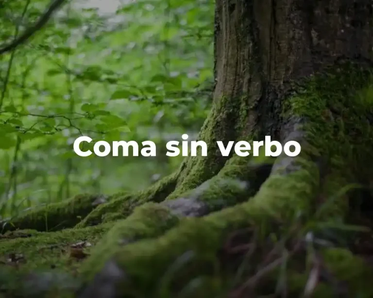 Coma sin verbo