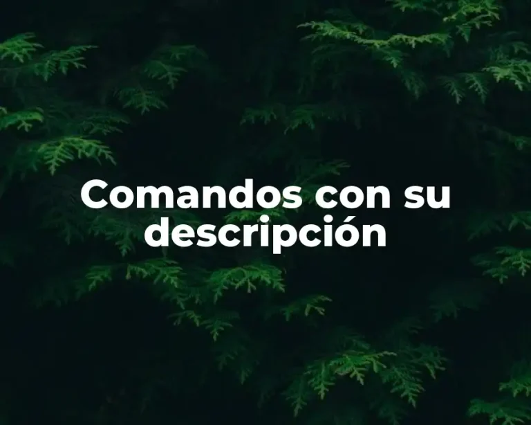 Comandos con su descripción