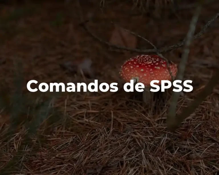 Comandos de SPSS