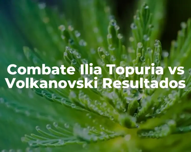 Combate Ilia Topuria vs Volkanovski Resultados