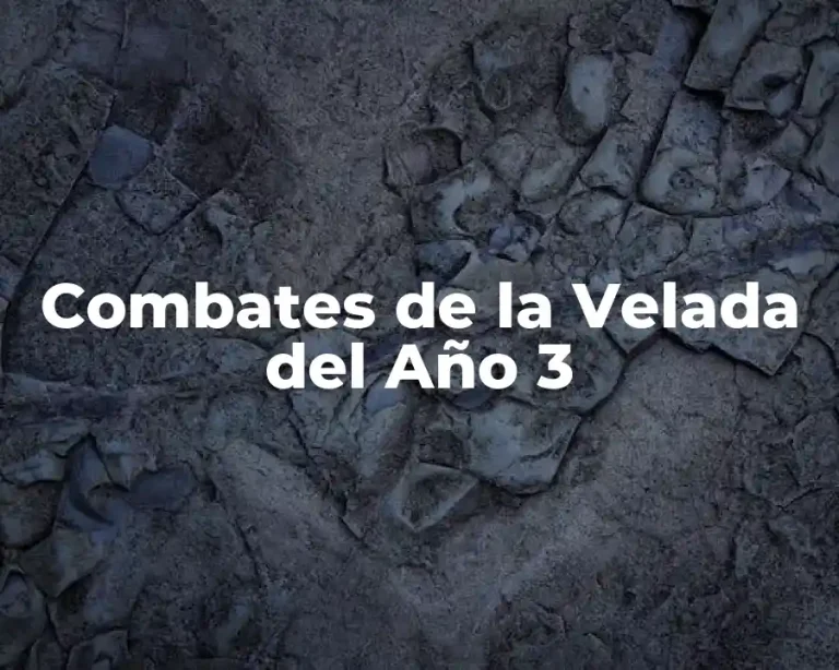 Combates de la Velada del Año 3