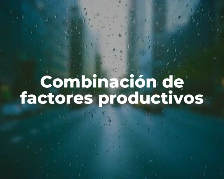 Combinación de factores productivos