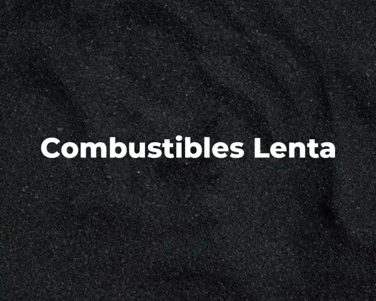 Combustibles Lenta