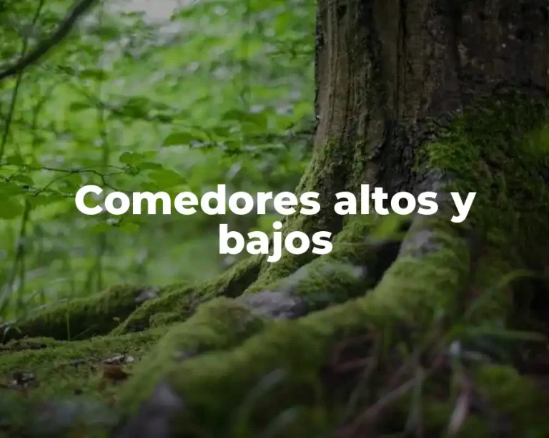 Comedores altos y bajos