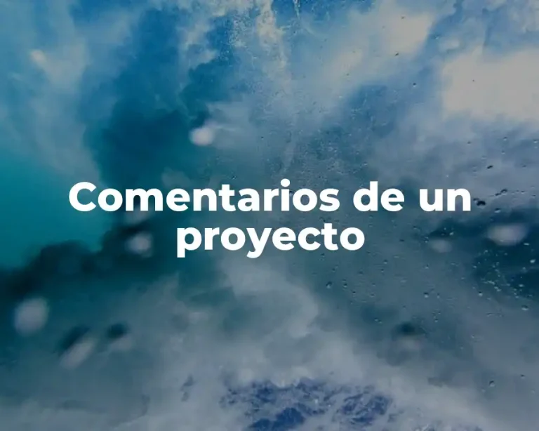 Comentarios de un proyecto