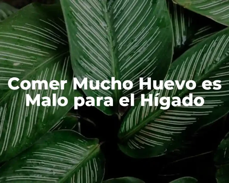 Comer Mucho Huevo es Malo para el Hígado