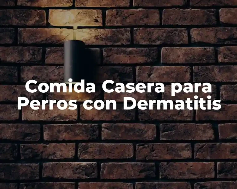 Comida Casera para Perros con Dermatitis
