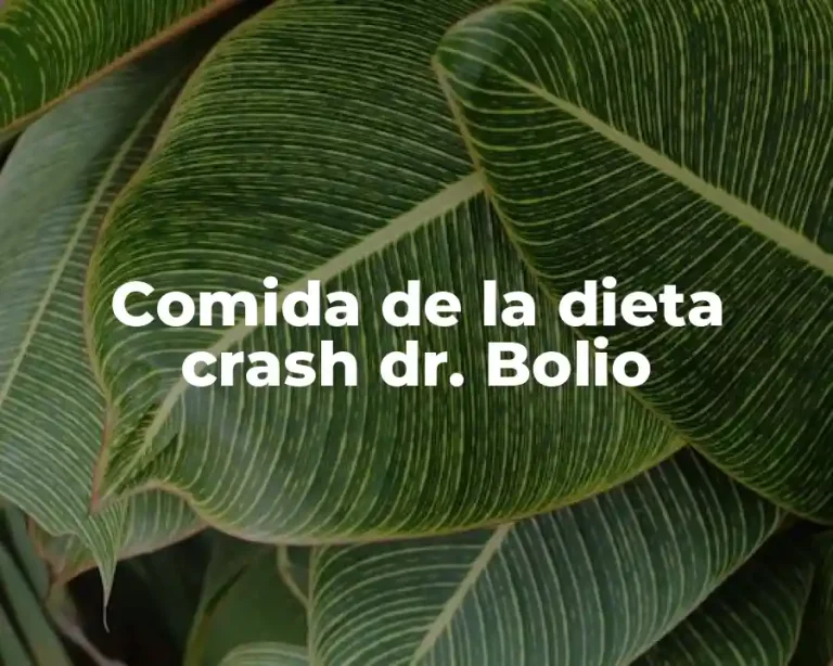 Comida de la dieta crash dr. Bolio