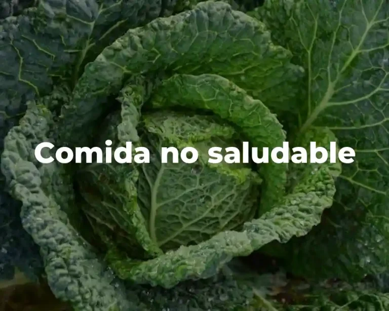 Comida no saludable
