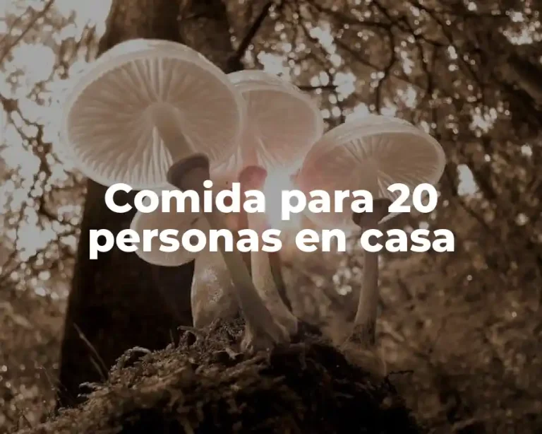 Comida para 20 personas en casa