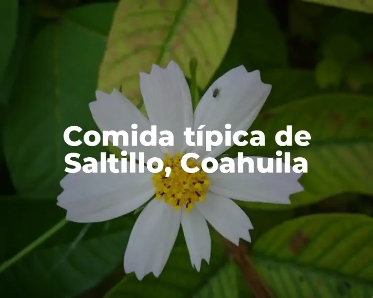 Comida típica de Saltillo, Coahuila