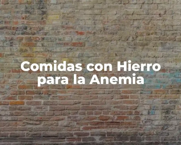 Comidas con Hierro para la Anemia