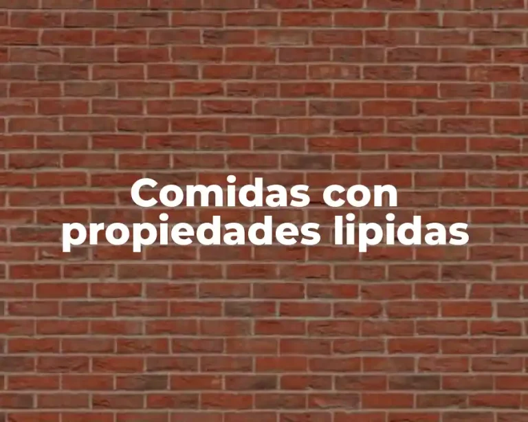 Comidas con propiedades lipidas