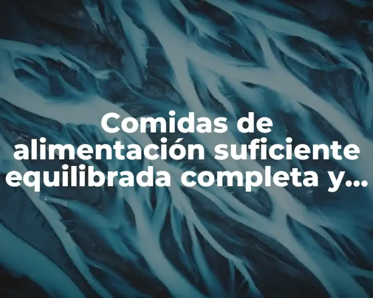 Comidas de alimentación suficiente equilibrada completa y variada