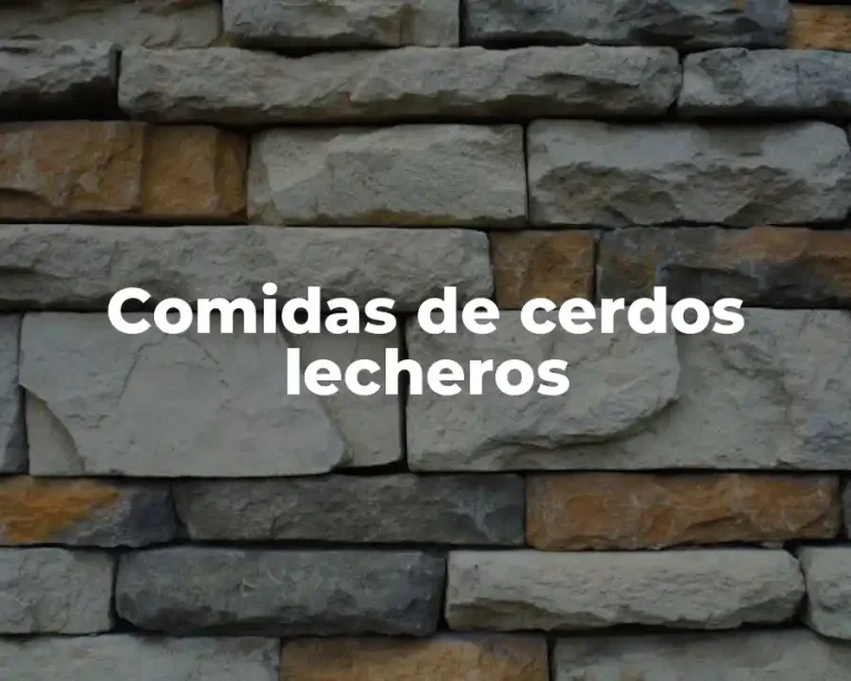 Comidas de cerdos lecheros