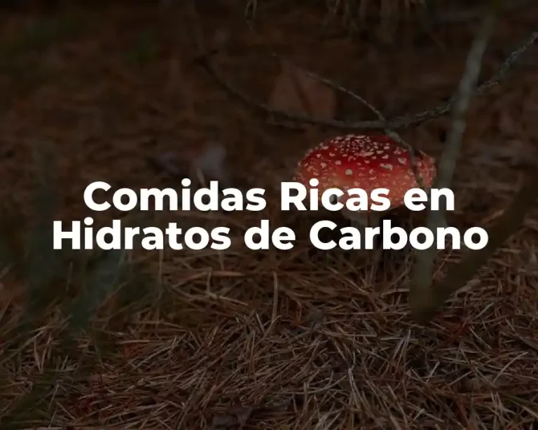 Comidas Ricas en Hidratos de Carbono