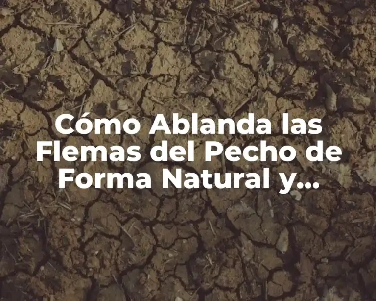 Cómo Ablanda las Flemas del Pecho de Forma Natural y Efectiva