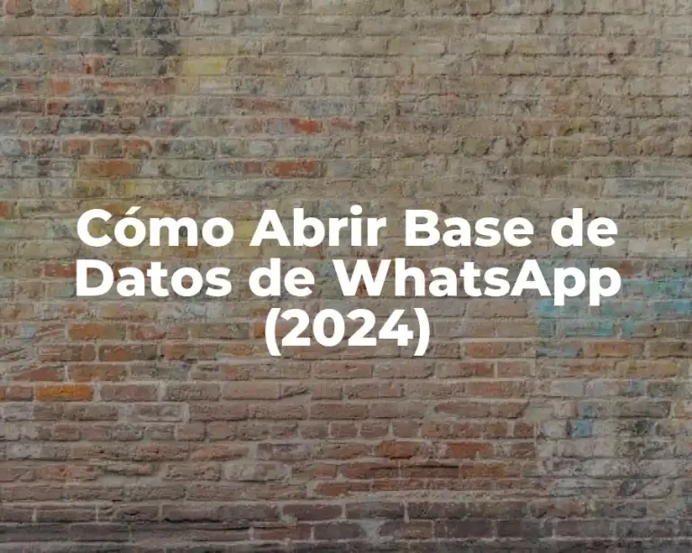 Cómo Abrir Base de Datos de WhatsApp (2024)