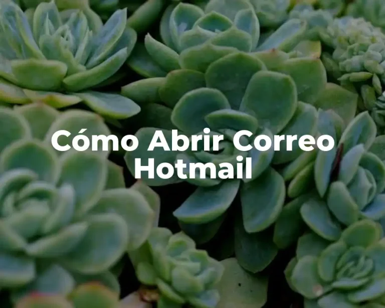 Cómo Abrir Correo Hotmail