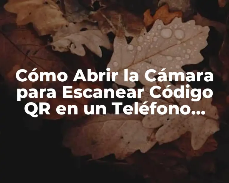 Cómo Abrir la Cámara para Escanear Código QR en un Teléfono Inteligente
