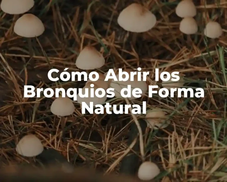 Cómo Abrir los Bronquios de Forma Natural