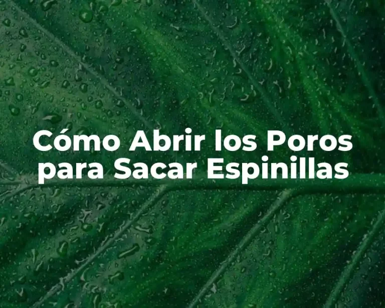 Cómo Abrir los Poros para Sacar Espinillas