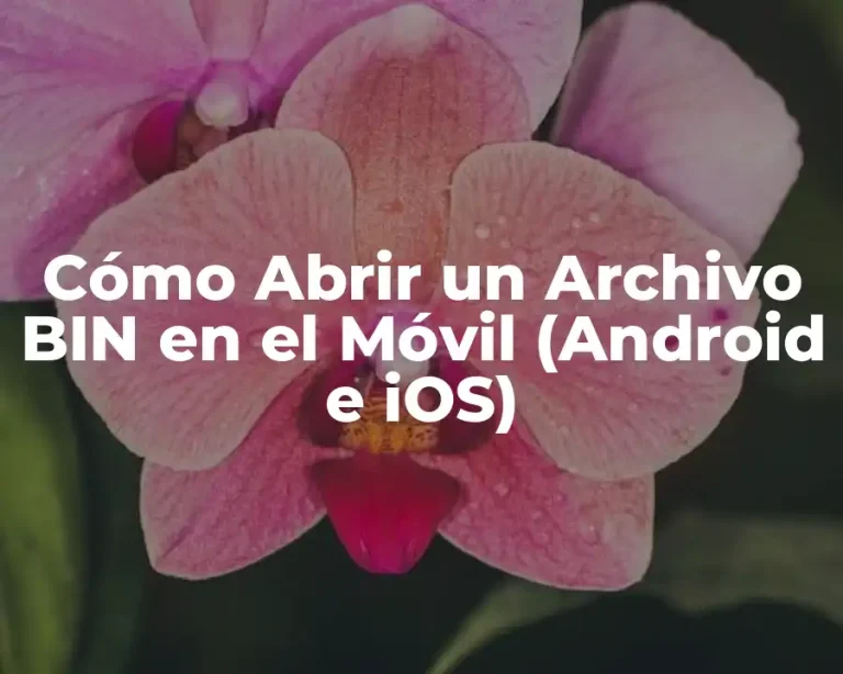 Cómo Abrir un Archivo BIN en el Móvil (Android e iOS)