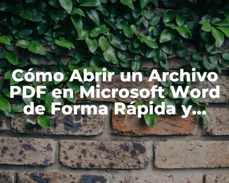 Cómo Abrir un Archivo PDF en Microsoft Word de Forma Rápida y Sencilla