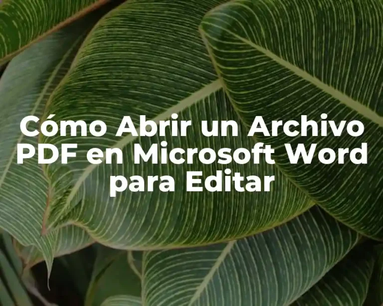 Cómo Abrir un Archivo PDF en Microsoft Word para Editar