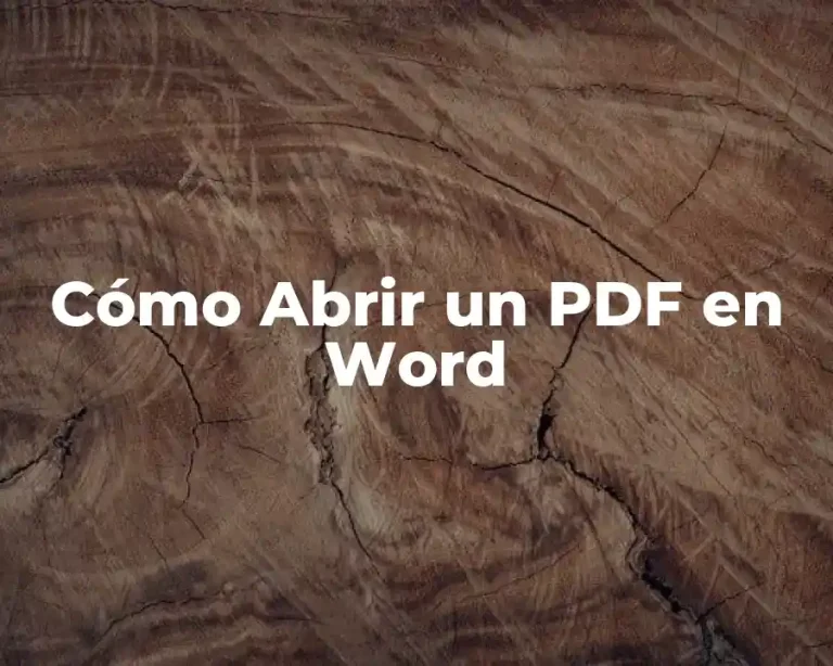 Cómo Abrir un PDF en Word