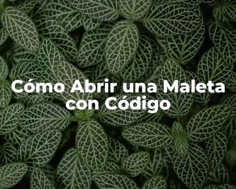 Cómo Abrir una Maleta con Código
