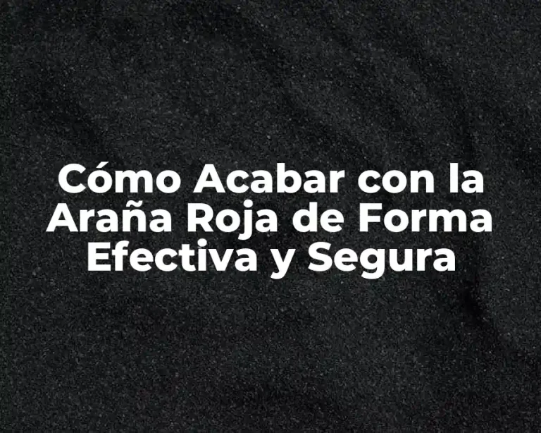 Cómo Acabar con la Araña Roja de Forma Efectiva y Segura