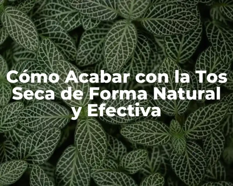 Cómo Acabar con la Tos Seca de Forma Natural y Efectiva