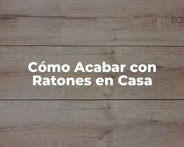 Cómo Acabar con Ratones en Casa