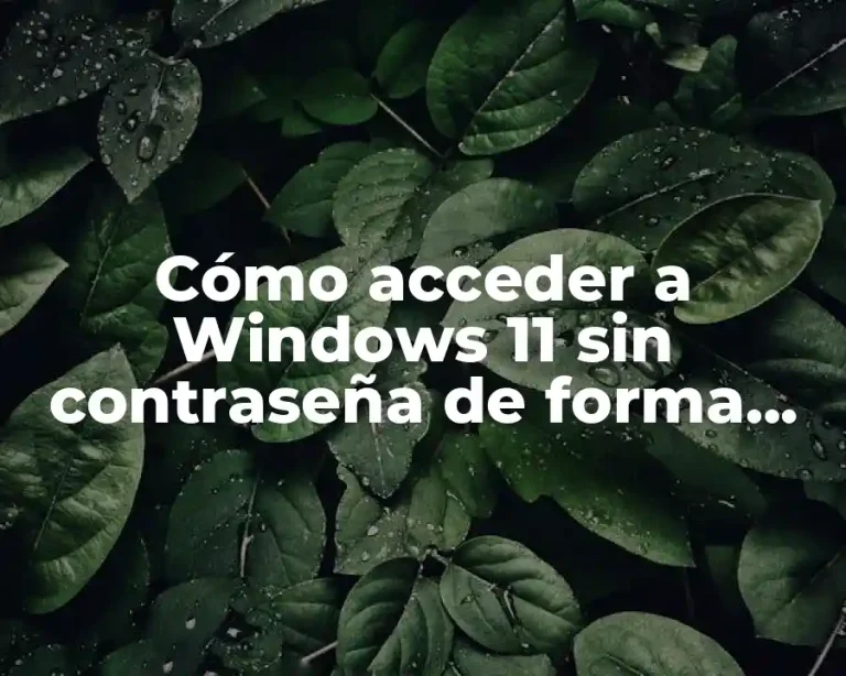 Cómo acceder a Windows 11 sin contraseña de forma segura