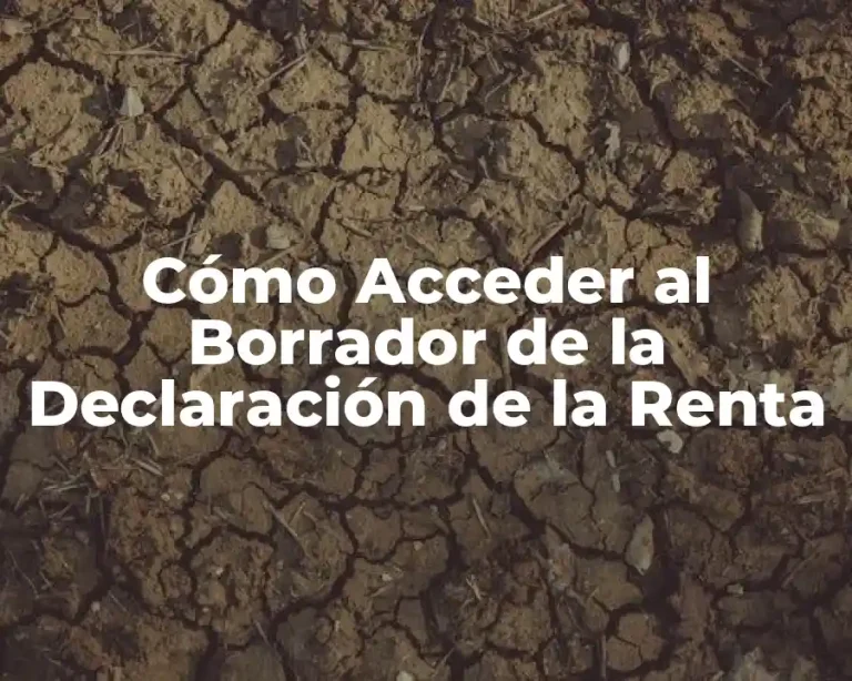 Cómo Acceder al Borrador de la Declaración de la Renta