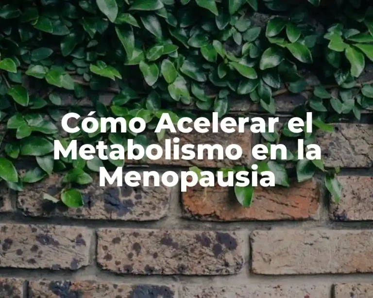 Cómo Acelerar el Metabolismo en la Menopausia