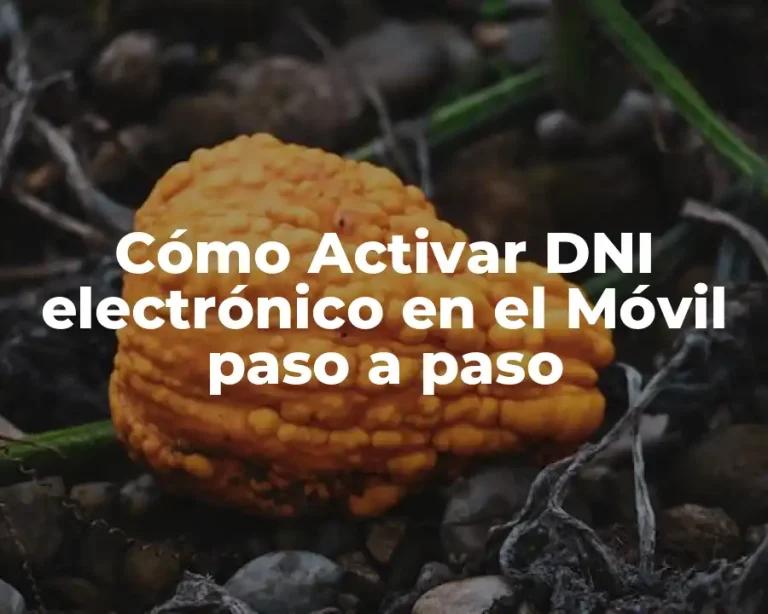 Cómo Activar DNI electrónico en el Móvil paso a paso