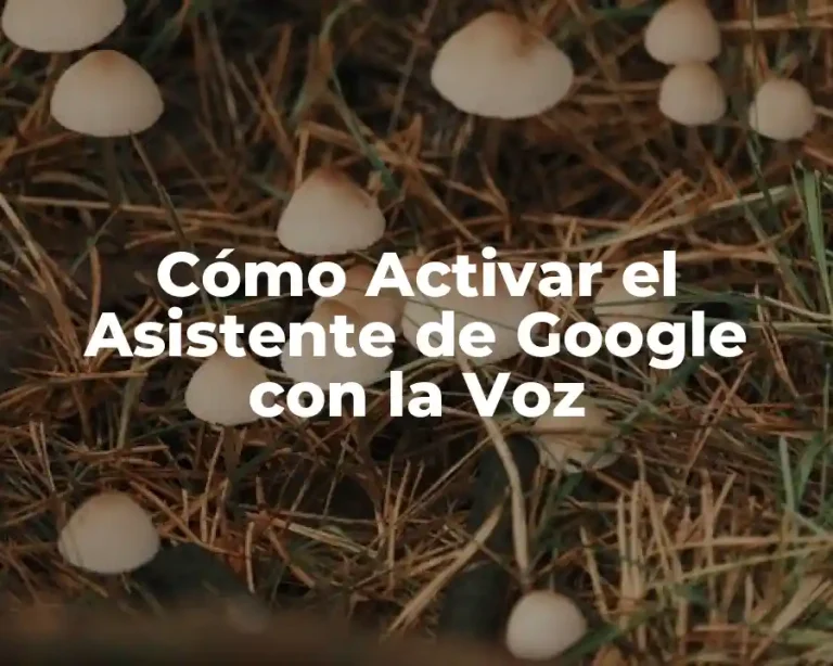 Cómo Activar el Asistente de Google con la Voz
