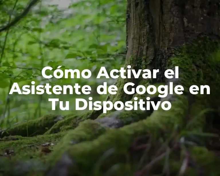 Cómo Activar el Asistente de Google en Tu Dispositivo