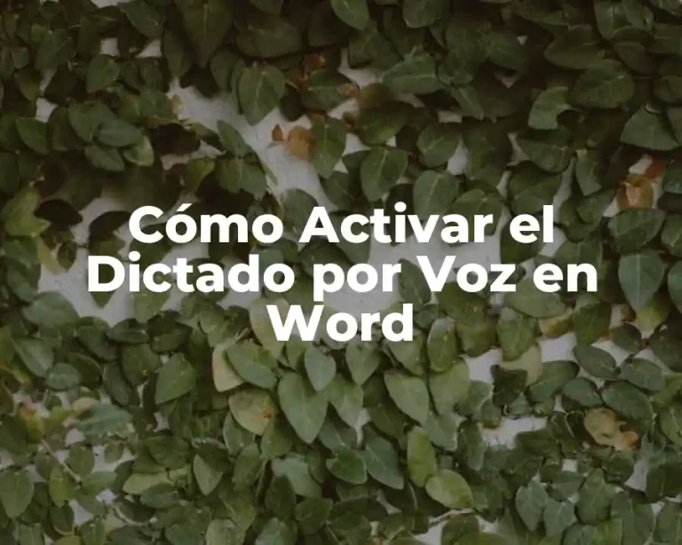 Cómo Activar el Dictado por Voz en Word