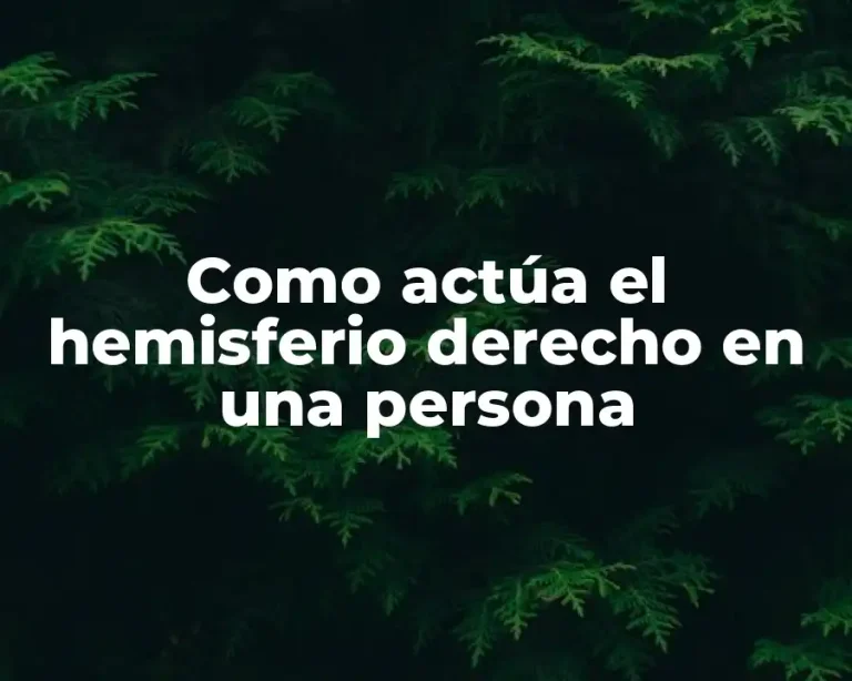 Como actúa el hemisferio derecho en una persona