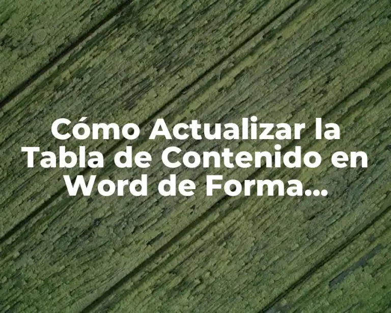 Cómo Actualizar la Tabla de Contenido en Word de Forma Eficiente